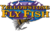 Yellowstone Fly Fish